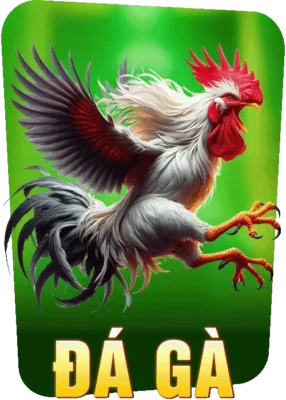 Đá Gà B52